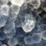 'Thomsonite'
FOV = 3.1 mm
(Autor: Doug)