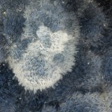 'Thomsonite'
FOV = 1.5
(Autor: Doug)