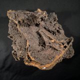 Descloizite on Limonite
220 mm x 170 mm 120 mm
(Autor: Robert Seitz)