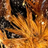 Beraunite
FOV = 3.8 mm
(Autor: Doug)
