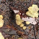 Kidwellite, Beraunite
FOV = 4.0 mm
(Autor: Doug)
