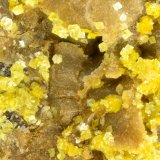Carnotite
FOV = 1.5 mm
(Autor: Doug)