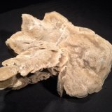Gypsum
155 mm x 155 mm x 60 mm
(Autor: Robert Seitz)
