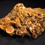Wulfenite, Endlichite
155 mm x 110 mm x 65 mm
(Autor: Robert Seitz)