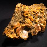 Wulfenite, Endlichite
155 mm x 110 mm x 65 mm
(Autor: Robert Seitz)