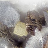 Peatite-(Y), Ramikite-(Y)
FOV = 2.0
(Autor: Doug)