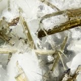 Richterite
FOV = 2.0 mm
(Autor: Doug)