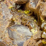 Segnitite
FOV = 2.0 mm
(Autor: Doug)