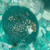 Rosasite
FOV = 1.5 mm
(Autor: Doug)