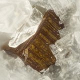Pyrite on Quartz
FOV = 1.1mm
(Autor: Doug)