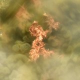 Copper
FOV = 0.7mm
(Autor: Doug)