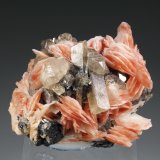 Cerussite, Barite, Galena
Mibladen (distrito minero Mibladen), Midelt, Provincia Midelt, Región Drâa-Tafilalet, Marruecos
64 mm x 62 mm x 48 mm. Largest crystal: 18 mm
(Autor: Carles Millan)
