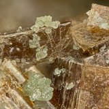 Vesuvianite
FOV = 3.7mm
(Autor: Doug)