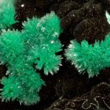 Malachite
FOV = 3.2 mm
(Autor: Doug)