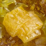 Wulfenite
FOV = 2.0 mm
(Autor: Doug)