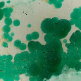 Cornwallite
FOV = 3.3 mm
(Autor: Doug)
