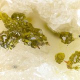 Segnitite
FOV = 1.4 mm
(Autor: Doug)
