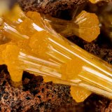 Mimetite
FOV = 3.5 mm
(Autor: Doug)