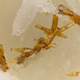 Vanadinite
FOV = 3.1 mm
(Autor: Doug)