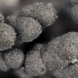 Coronadite
FOV = 3.8 mm
(Autor: Doug)