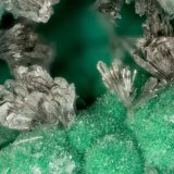 Hemimorphite
FOV = 3.1 mm
(Autor: Doug)