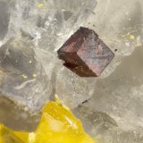 Galkhaite
FOV = 1.1 mm
(Autor: Doug)