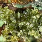 Olivenite
FOV = 1.7 mm
(Autor: Doug)