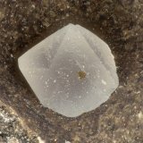 Faujasite-Ca
FOV = 1.2 mm
(Autor: Doug)