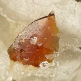 Descloizite
FOV = 0.9 mm
(Autor: Doug)