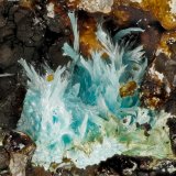 Aurichalcite
FOV = 3.1 mm
(Autor: Doug)