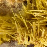 Ferrimolybdite
FOV = 3.8 mm
(Autor: Doug)
