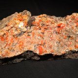 Wulfenite
263 mm x 80 mm x 57 mm
(Autor: Robert Seitz)