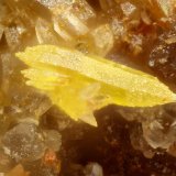 Pyromorphite
FOV = 0.8 mm
(Autor: Doug)