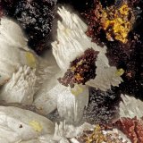 Vanadinite
FOV = 1.5 mm
(Autor: Doug)