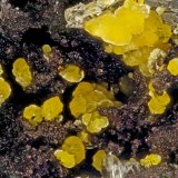 Descloizite
FOV = 1.5 mm
(Autor: Doug)