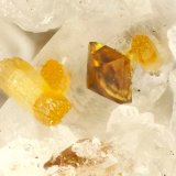 Wulfenite, Vanadinite
FOV = 0.9 mm
(Autor: Doug)
