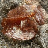 Siderite, Magnetite
FOV = 1.2 mm
(Autor: Doug)