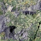 Glaucophane
FOV = 3.8 mm
(Autor: Doug)
