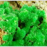 (Autor: jaysminerals)