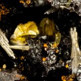 Vanadinite, Descloizite
FOV = 1.2 mm
(Autor: Doug)