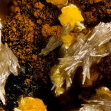 Vanadinite, Descloizite
FOV = 1.9 mm
(Autor: Doug)