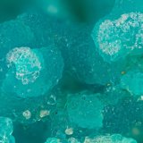 Chrysocolla
FOV = 1.8 mm
(Autor: Doug)
