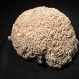 Baryte, Sphalerite, Fluorite
162 mm X 130 mm X 80 mm
(Autor: Robert Seitz)