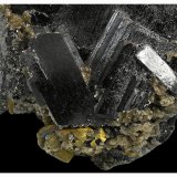 Ferberite, Chalcopyrite, Pyrite, Muscovite
14 cm x 10 cm x 10 cm
(Autor: silvia)
