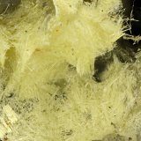 Ferrimolybdite
FOV = 1.7 mm
(Autor: Doug)