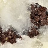 Aenigmatite
FOV = 1.6 mm
(Autor: Doug)