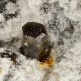 Brianyoungite, Pyromorphite
FOV = 1.1 mm
(Autor: Doug)