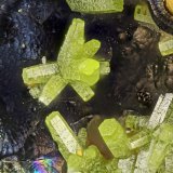 Pyromorphite
FOV = 1.9 mm
(Autor: Doug)