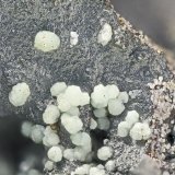 Fraipontite
FOV = 2.0 mm
(Autor: Doug)
