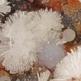 Wavellite, Variscite
FOV = 4.0 mm
(Autor: Doug)